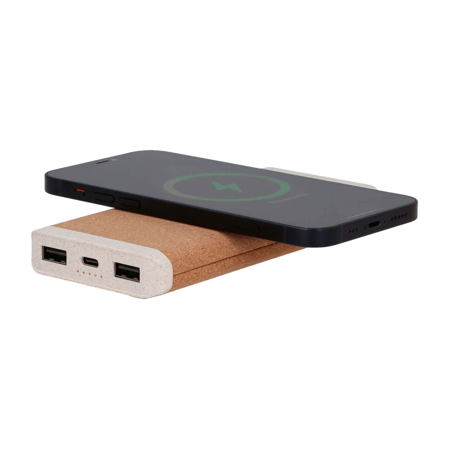POWER BANK PLASTICO RABYLT