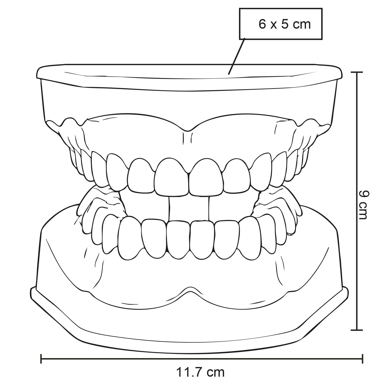 MODELO PVC SACNAVO