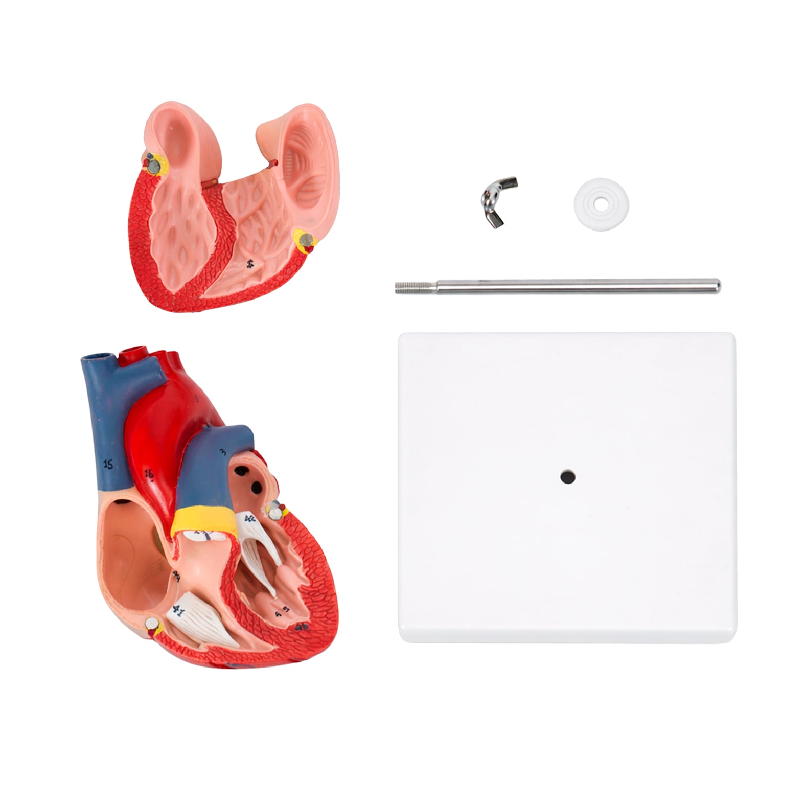 MODELO PVC SACNIX