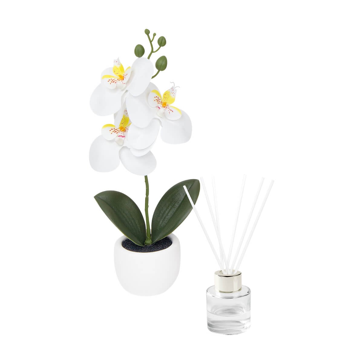 SET PLASTICO AACTOELD