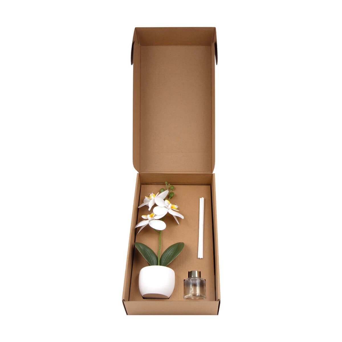 SET PLASTICO AACTOELD