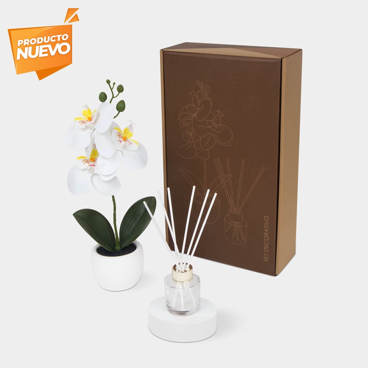 SET PLASTICO AACTOELD