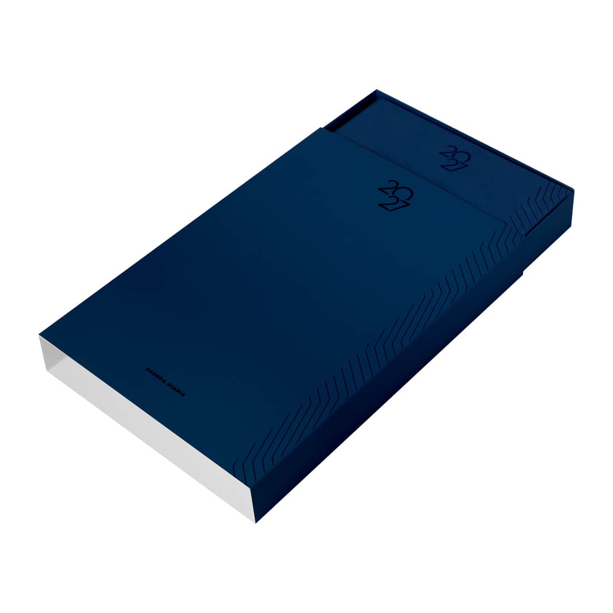 AGENDA CURPIEL BACNUELM