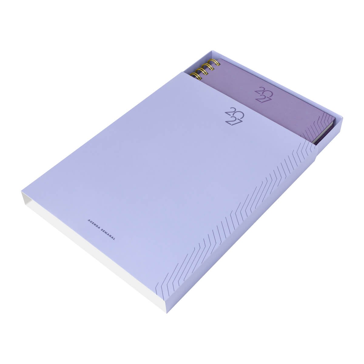 AGENDA CURPIEL BACORMO
