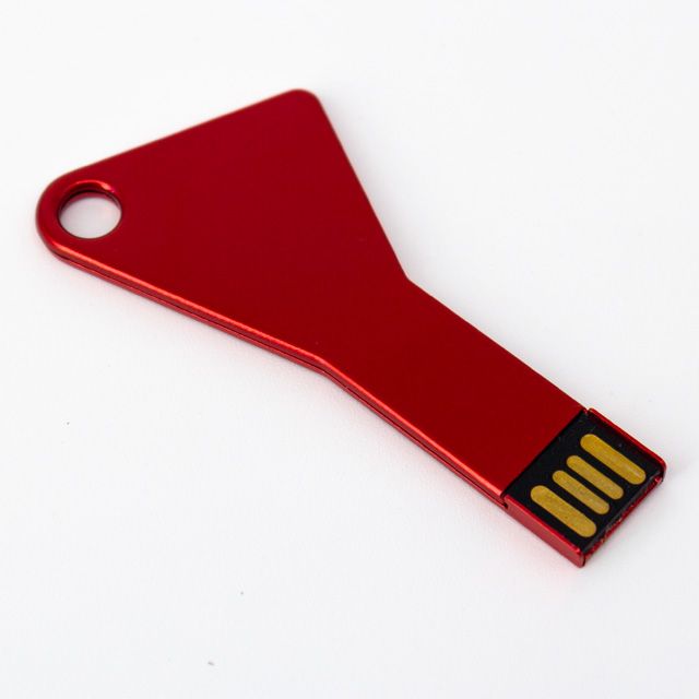 USB 8GB LADRMY