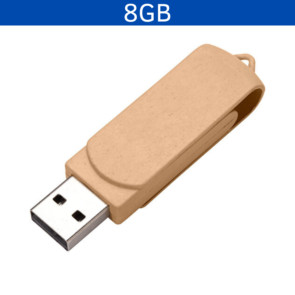 USB 8GB LADYNT