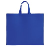 BOLSA NON WOVEN RADYRE