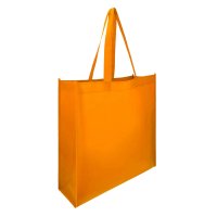 BOLSA NON WOVEN RAEELM
