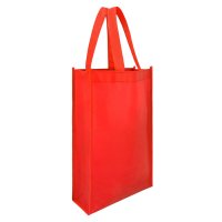 BOLSA NON WOVEN RAEEMA