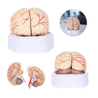 MODELO PVC SACMYDE