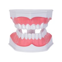 MODELO PVC SACNAVO