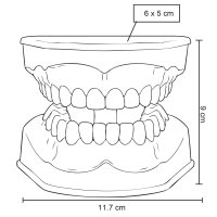 MODELO PVC SACNAVO