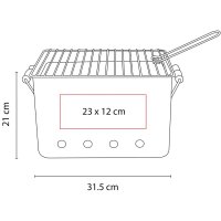 ASADOR HIERRO AACTANT