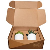 SET PLASTICO AACTOLT