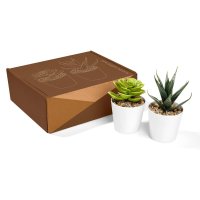 SET PLASTICO AACTOLT