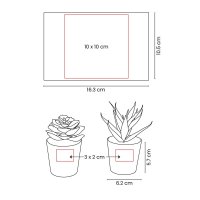 SET PLASTICO AACTOLT