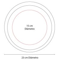 DISCO PLASTICO AAERIT