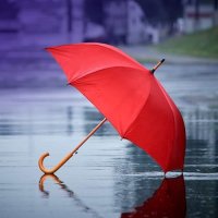 PARAGUAS POLISTER BACIIZM