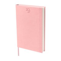 AGENDA CURPIEL BACNUELM