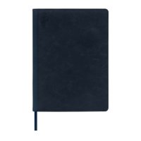 AGENDA CURPIEL BACNURN