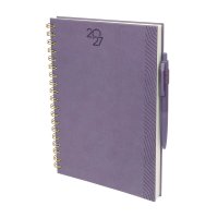AGENDA CURPIEL BACORMO