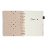 AGENDA CURPIEL BACOYLT