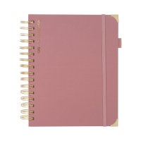 AGENDA CURPIEL BACOYLT