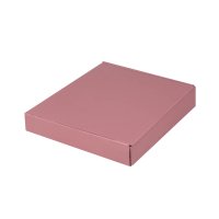 AGENDA CURPIEL BACOYLT