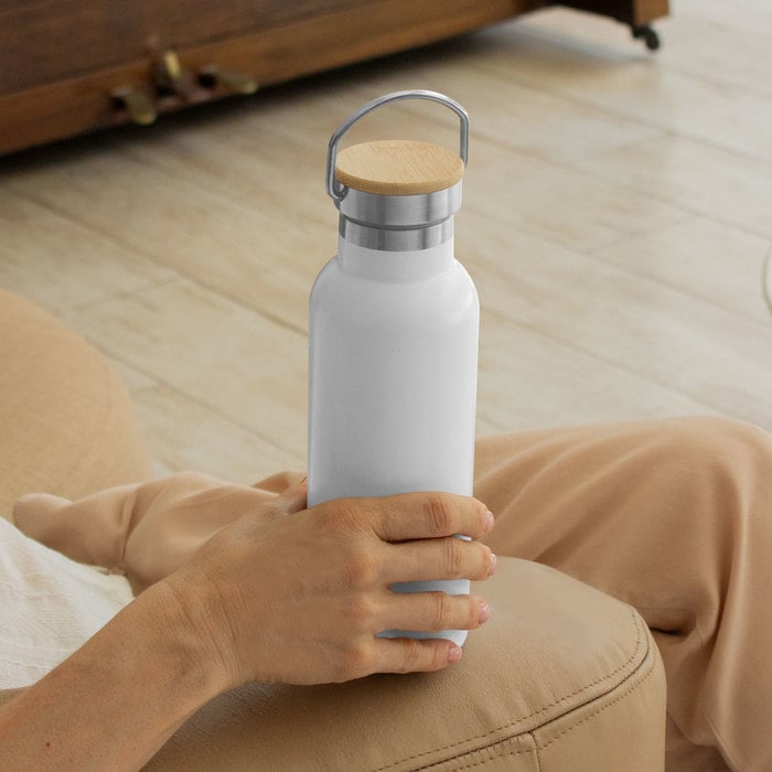 BOTELLA ACERO AACIALV