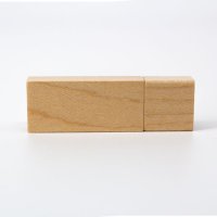 USB 4GB LADOOST