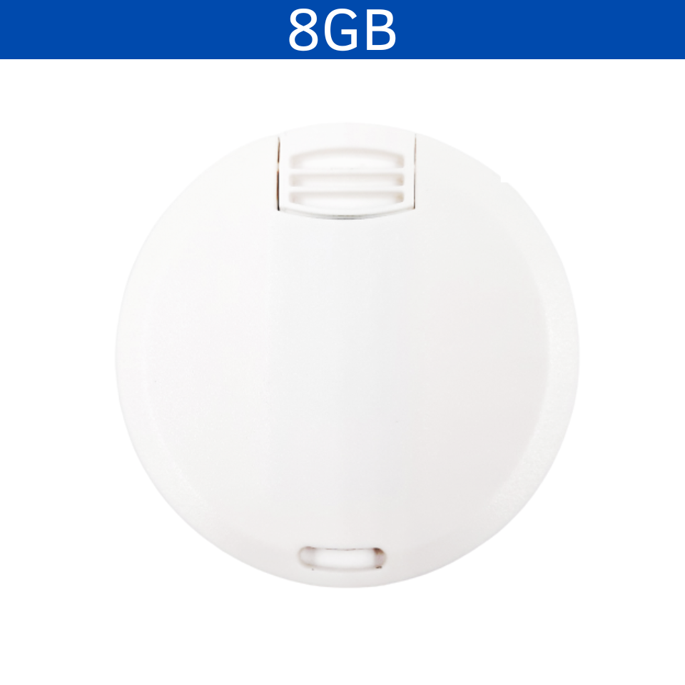 USB 8GB LAEAND