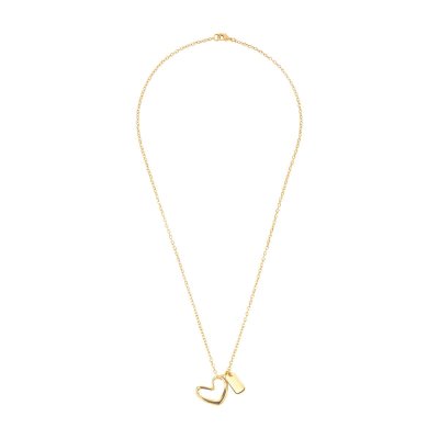 COLLAR CHAPA DE ORO ZAEZEN
