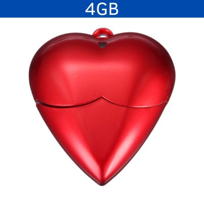 USB 4GB LADIAN
