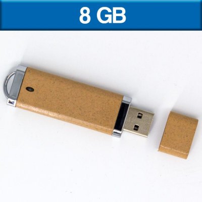 USB 8GB LADIZM